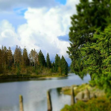 Chalet Platzhirsch Braunlage Bagian luar foto